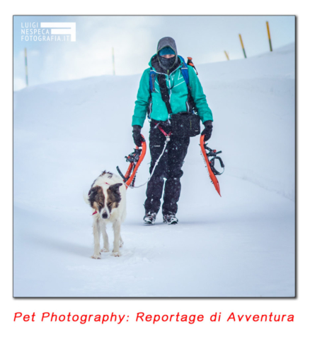 Pet Photography: reportage di avventura