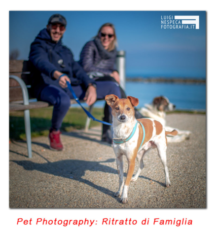 Pet Photography: un ritratto di Famiglia