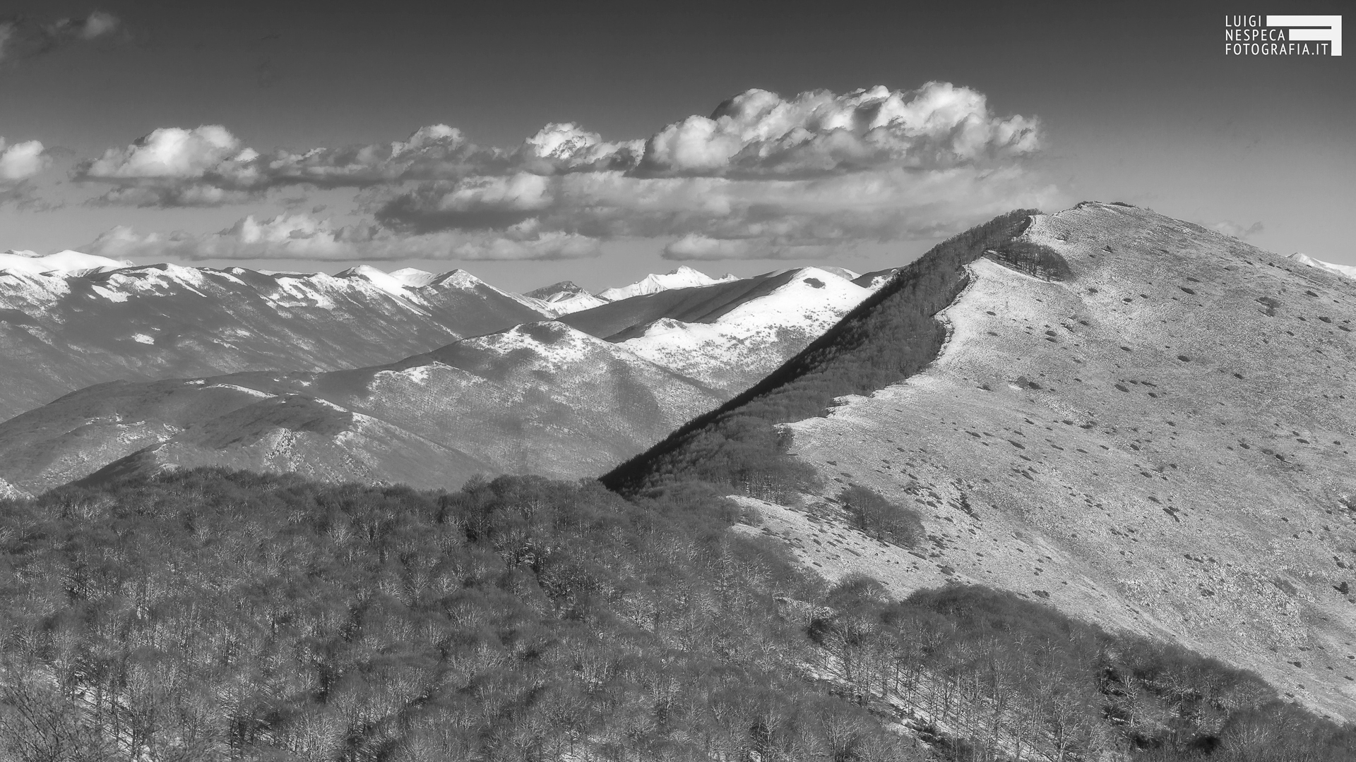 33 - Il Monte Padiglione e i Conti Carseolani - Tagliacozzo (AQ)