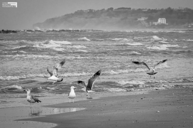 Francavilla al Mare - assembramenti non autorizzati in spiaggia