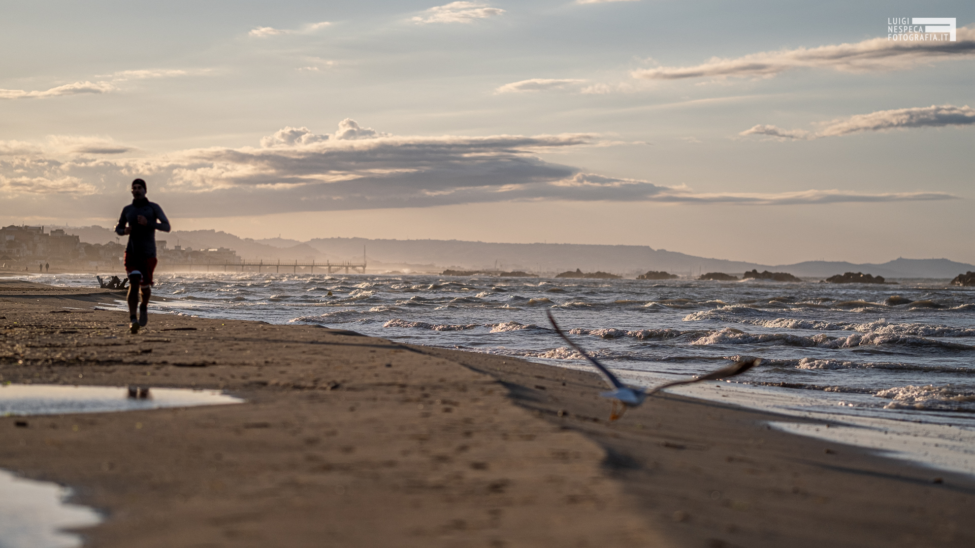 La spiaggia di Francavilla al Mare: un runner e un gabbiano