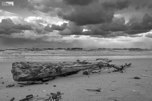 La spiaggia di Francavilla al mare durante il Lockdown