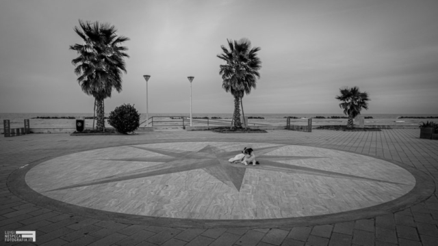 Il distanziamento sociale come spiegato dal cane Melody - Francavilla al Mare