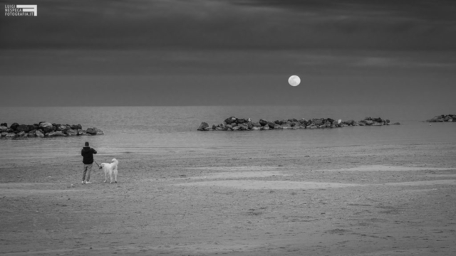 Qualche ora prima del Lockdown - la luna, un uomo e un cane