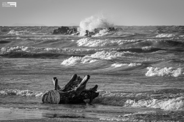 La spiaggia di Francavilla al mare durante il Lockdown