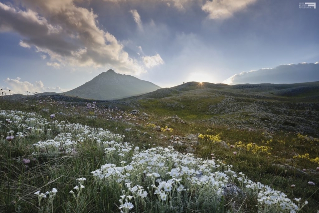 Giugno 2021 - Monte Bolza - GRAN SASSO