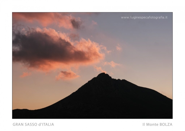 19 - Il Monte Bolza e un ciuffo di rosa -  Gran Sasso