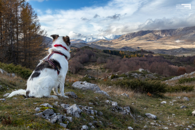 04 - La contemplazione: Melody ed le sue montagne