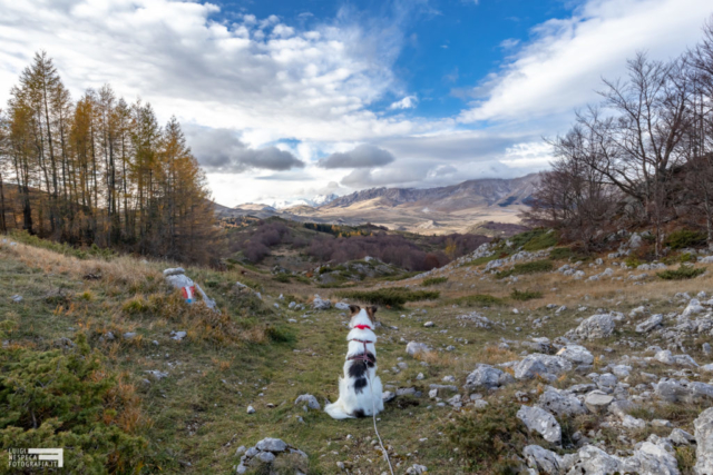 05 - La contemplazione: Melody ed le sue montagne