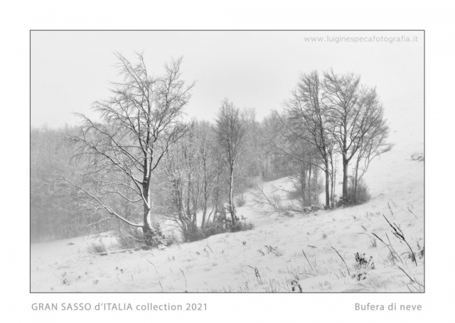 N° 7 - Bufera di neve - Prati di Tivo